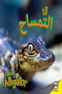 Alligator: Arabic-English Bilingual Edition