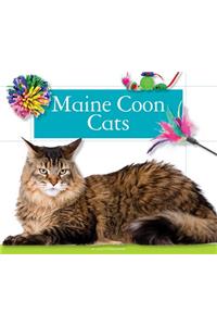 Maine Coon Cats