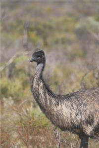 Emu