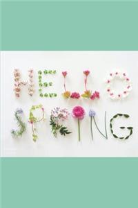 Hello Spring