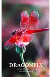 Dragonfly 5 x 8 Weekly 2020 Planner