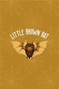 Little Brown Bat