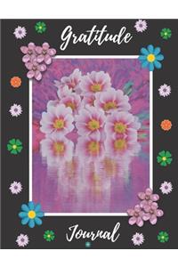 Gratitude Journal