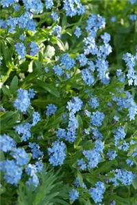 Springtime Forget Me Not Meadow Journal