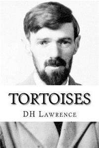 Tortoises