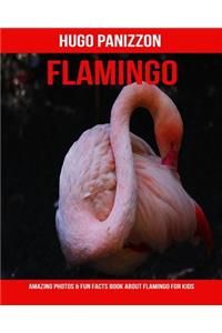 Flamingo: Amazing Photos & Fun Facts Book about Flamingo for Kids
