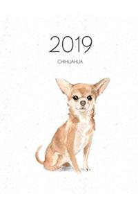 2019 Chihuahua