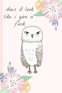 Does It Look Like I Give a Fuck