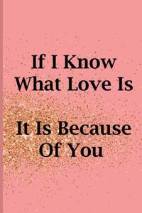 If I Know What Love Is It Is Because of You: Blank Lined Notebook Journal Diary Composition Notepad 120 Pages 6x9 Paperback Mother Grandmother Pink Gold