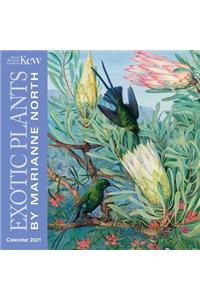 Kew Gardens - Exotic Plants by Marianne North Mini Wall Calendar 2021 (Art Calendar)