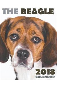 The Beagle 2018 Calendar