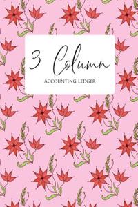 3 Column Accounting Ledger