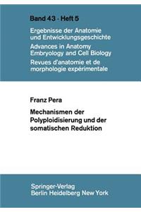 Mechanismen Der Polyploidisierung Und Der Somatischen Reduktion