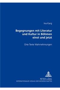 Begegnungen Mit Literatur Und Kultur in Boehmen Einst Und Jetzt