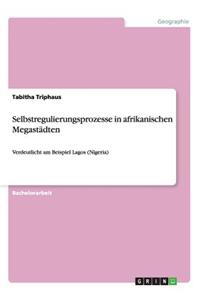 Selbstregulierungsprozesse in afrikanischen Megastädten