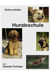 Schon wieder Hundeschule