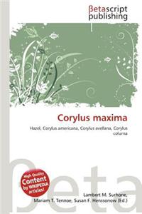 Corylus Maxima