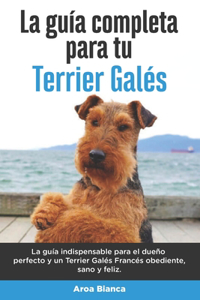 Guía Completa Para Tu Terrier Galés