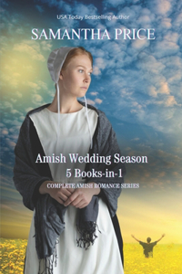 Amish Wedding Season