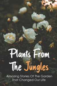 Plants From The Jungles