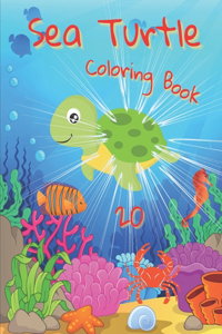 Sea Turtle Coloring Book