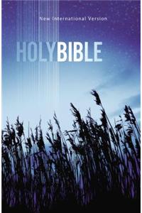 NIV, Value Outreach Bible, Paperback