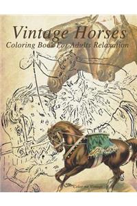 Vintage Horses Coloring Book For Adults