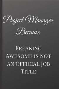 Project Manager Because Freaking Awesome is not an Official Job Title