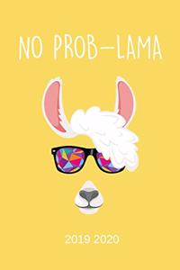 No Prob-Lama 2019 2020