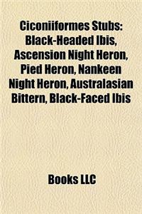 Ciconiiformes Introduction: Black-Headed Ibis, Ascension Night Heron, Pied Heron, Nankeen Night Heron, Australasian Bittern, Black-Faced Ibis