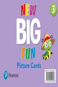 New Big Fun - (AE) - 2nd Edition (2019) - Picture Cards - Level 3