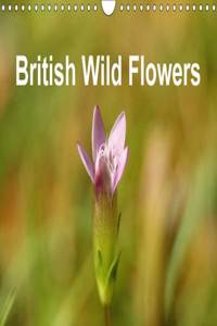 British Wild Flowers 2017