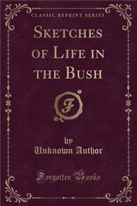 Sketches of Life in the Bush (Classic Reprint)