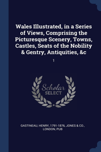 Wales Illustrated, in a Series of Views, Comprising the Picturesque Scenery, Towns, Castles, Seats of the Nobility & Gentry, Antiquities, &c