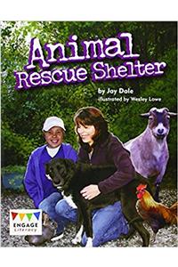 Engage Literacy Gold Pack A of 4