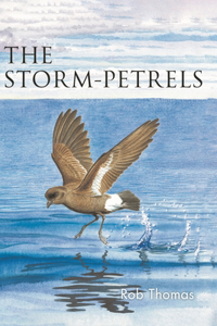 Storm-Petrels