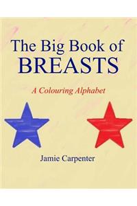 The Big Book of Breasts