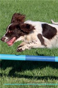 English Springer Spaniel Affirmations Workbook English Springer Spaniel Presents: Positive and Loving Affirmations Workbook. Includes: Mentoring Questions, Guidance, Supporting You.