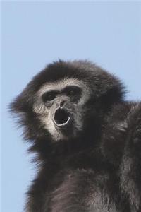 The Gibbon Journal