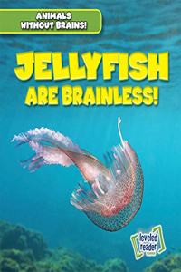 Jellyfish Are Brainless!