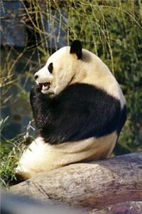 Giant Panda Bear Animal Journal