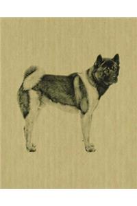 Akita