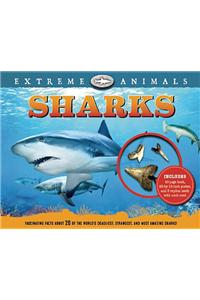 Extreme Animals: Sharks