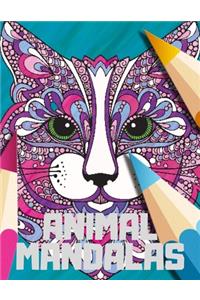 Animal Mandalas