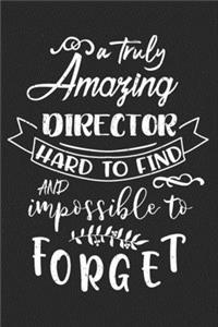 A Truly Amaging Director Hard To Find And Impossible to Forget Notebook