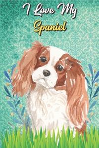 I Love My Spaniel