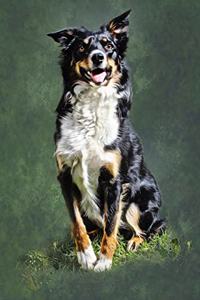 Collie Journal