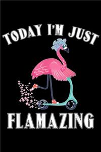 Today I'm Just Flamazing