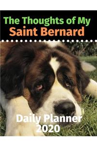 The Thoughts of My Saint Bernard