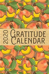2020 Gratitude Calendar